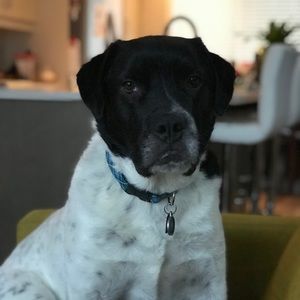 Meet your Posher, Meagan